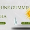 Gumzy comparison banner asking which is better between immune gummies and traditional Kadha, featuring a watercolor sun and leaf illustrations.